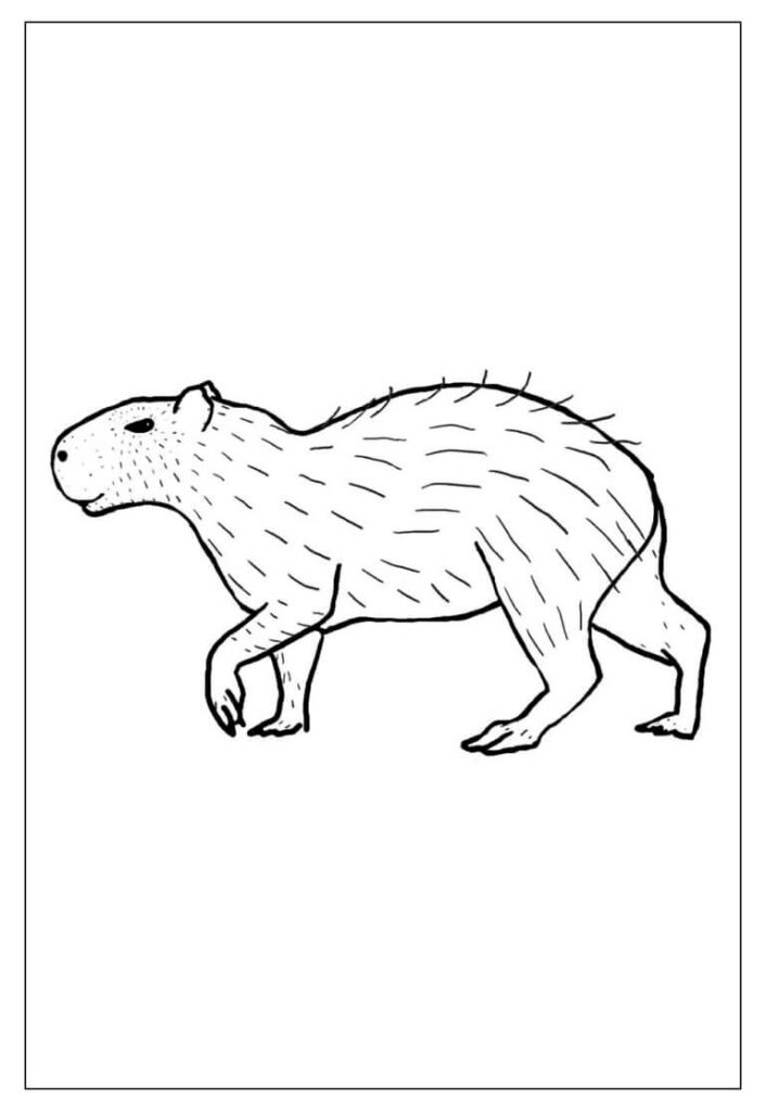 Desenho de Capivara para imprimir
