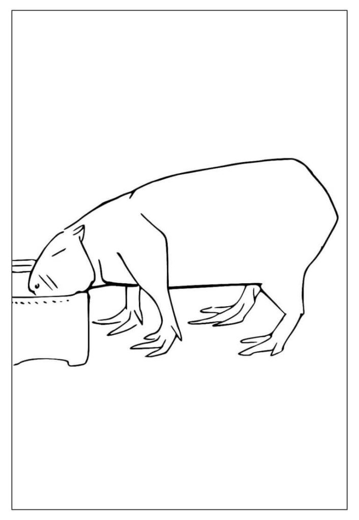Desenho de Capivara para imprimir