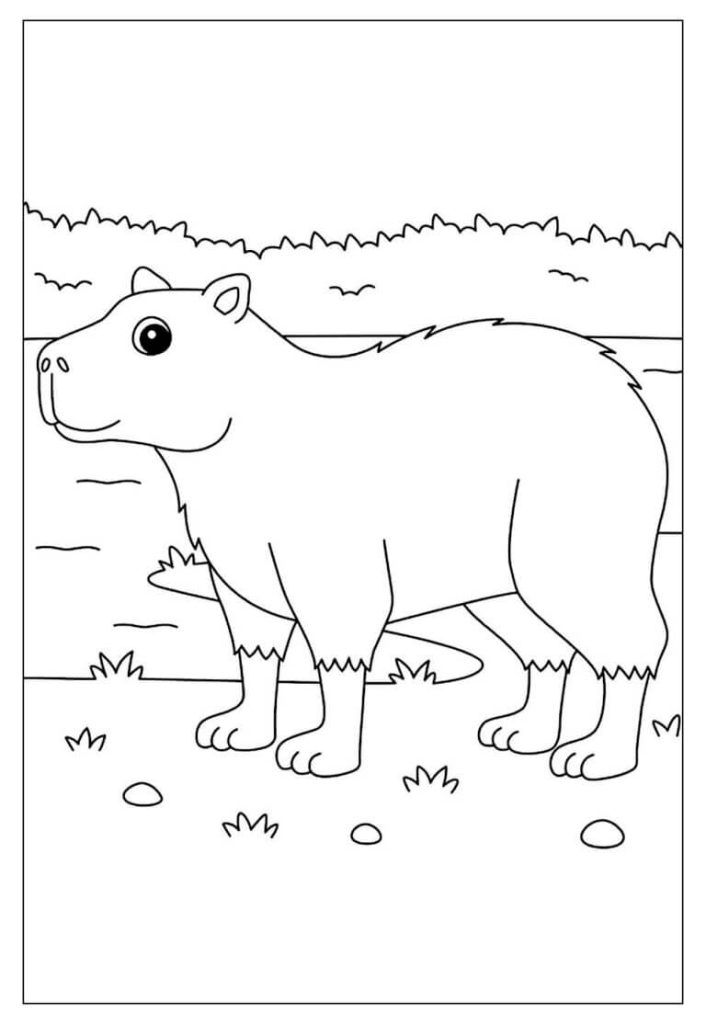Desenho de Capivara para imprimir