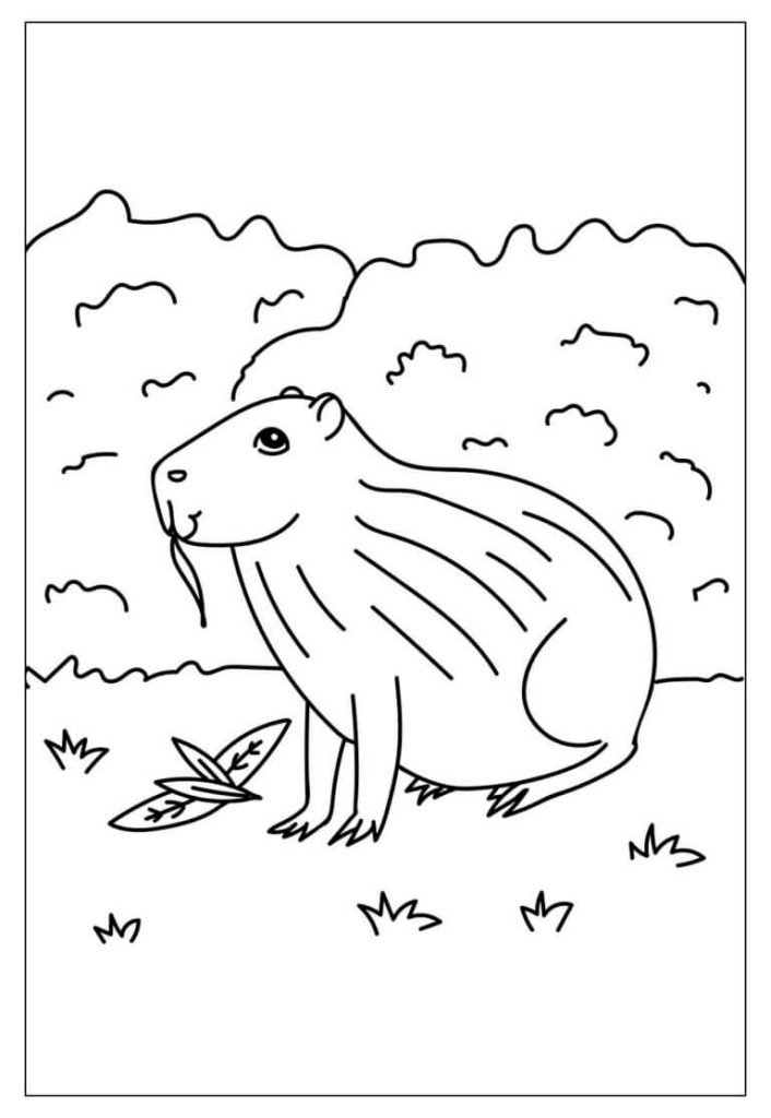 Desenho de Capivara para imprimir