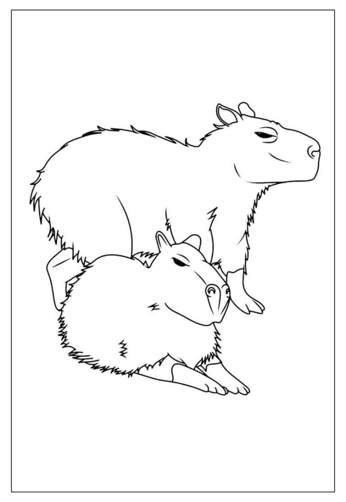 Desenho de Capivara para imprimir
