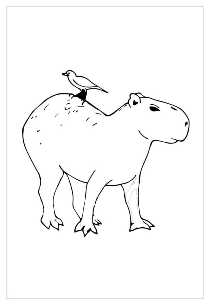 Desenho de Capivara para imprimir