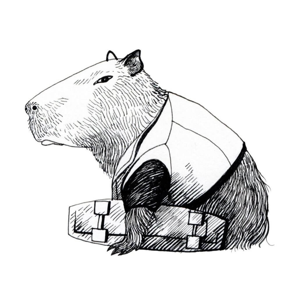 Desenho de Capivara para imprimir