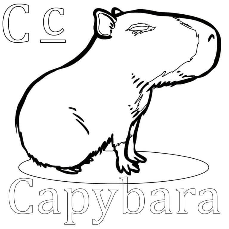 Desenho de Capivara para imprimir