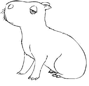 Desenho de Capivara para imprimir