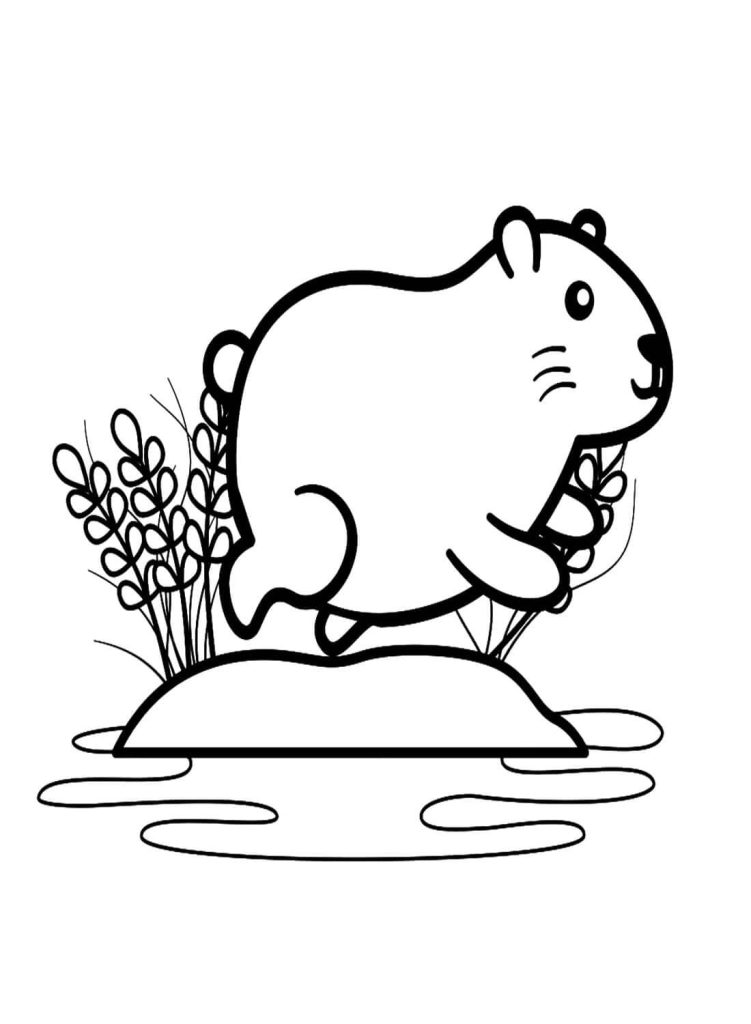 Desenho de Capivara para imprimir