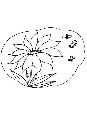 Desenho de Girassol para imprimir