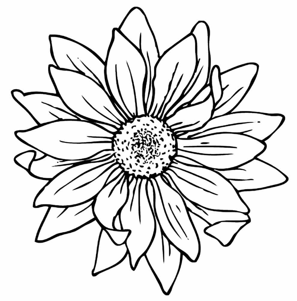 Desenho de Girassol para imprimir