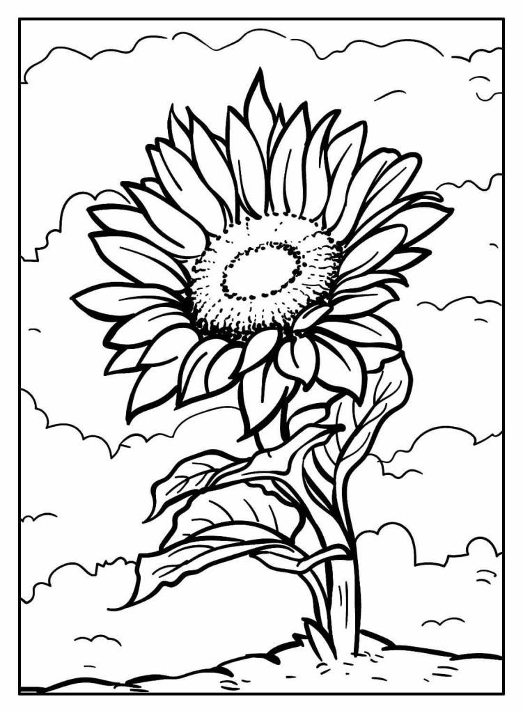 Desenho de Girassol para imprimir