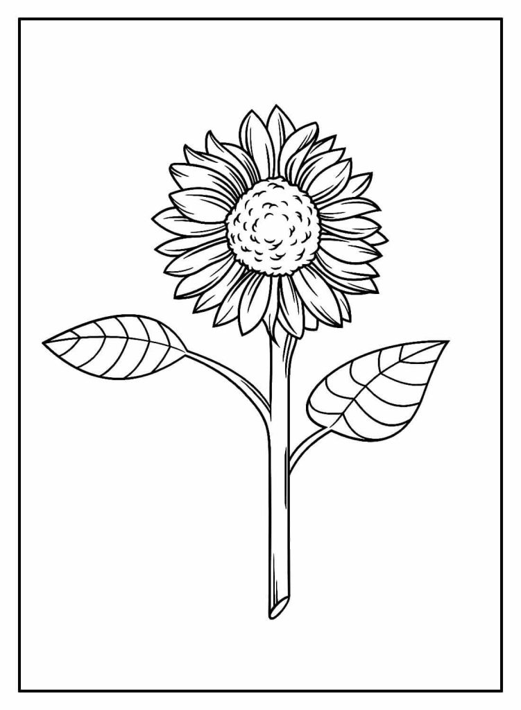 Desenho de Girassol para imprimir