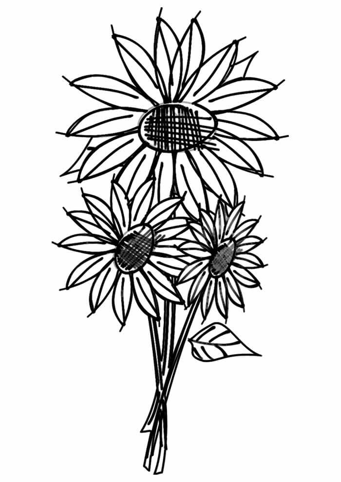 Desenho de Girassol para imprimir