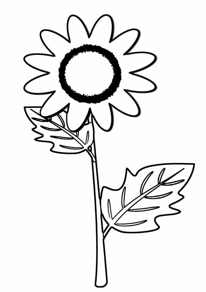 Desenho de Girassol para imprimir