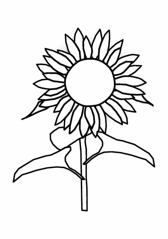 Desenho de Girassol para imprimir