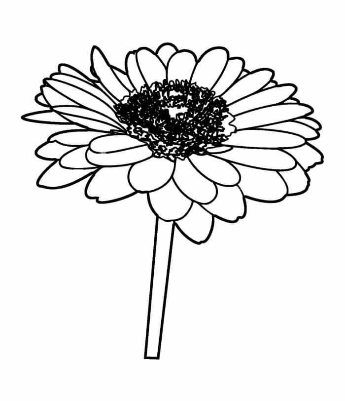Desenho de Girassol para imprimir