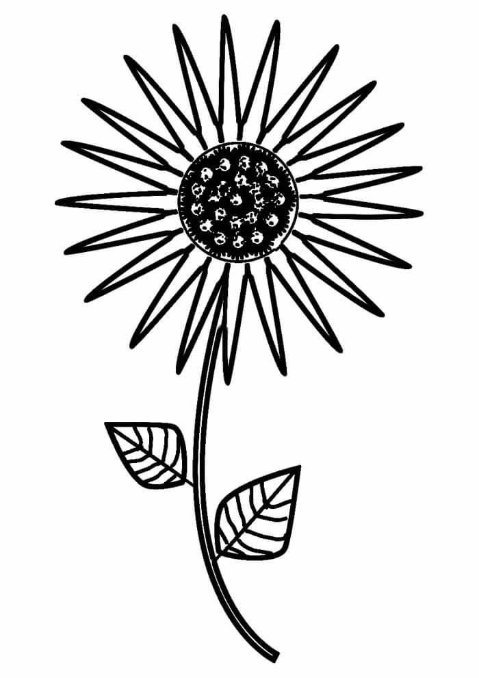 Desenho de Girassol para imprimir