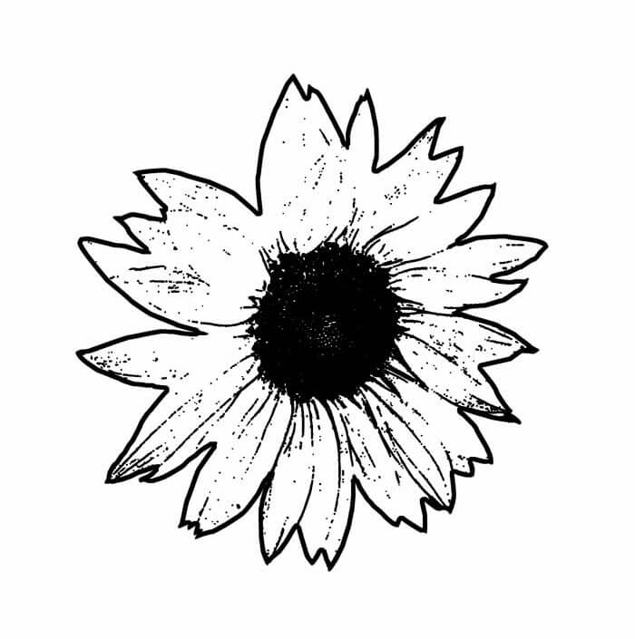 Desenho de Girassol para imprimir