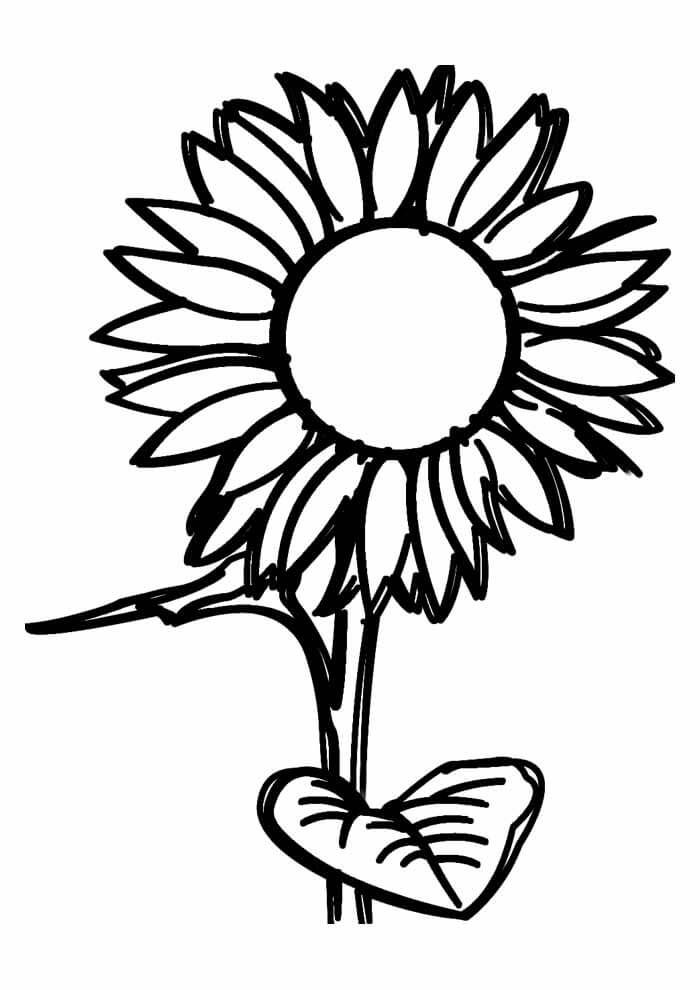 Desenho de Girassol para imprimir