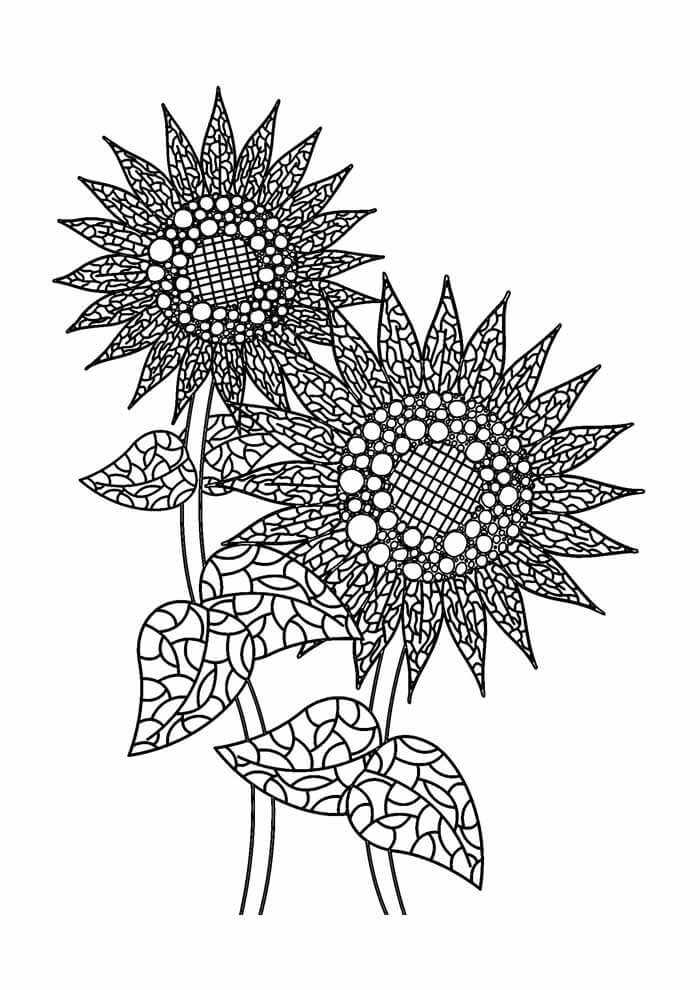 Desenho de Girassol para imprimir