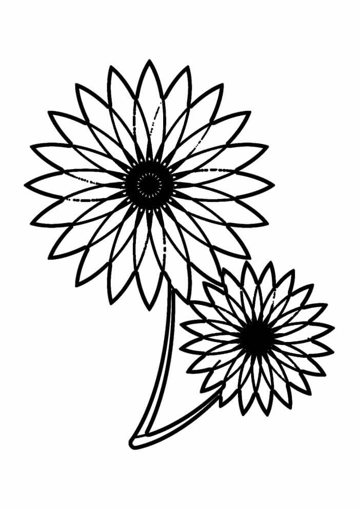 Desenho de Girassol para imprimir