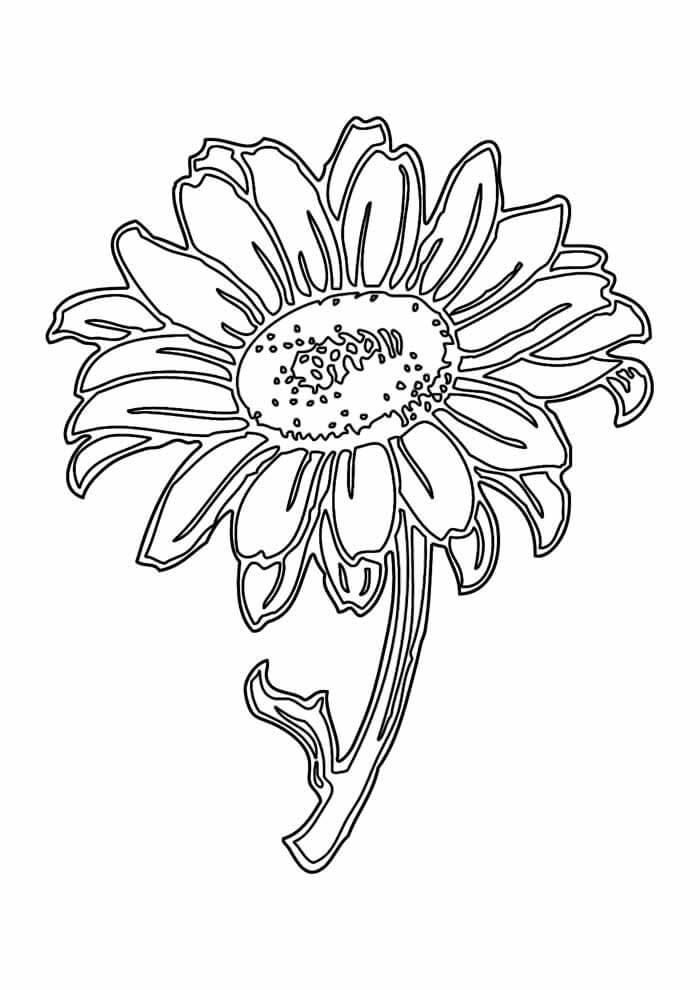 Desenho de Girassol para imprimir