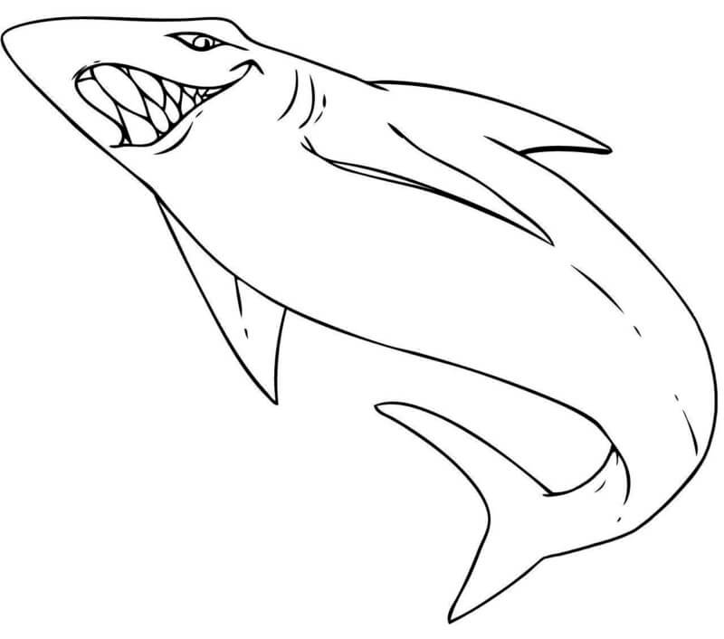 Desenho de Tubarão para imprimir