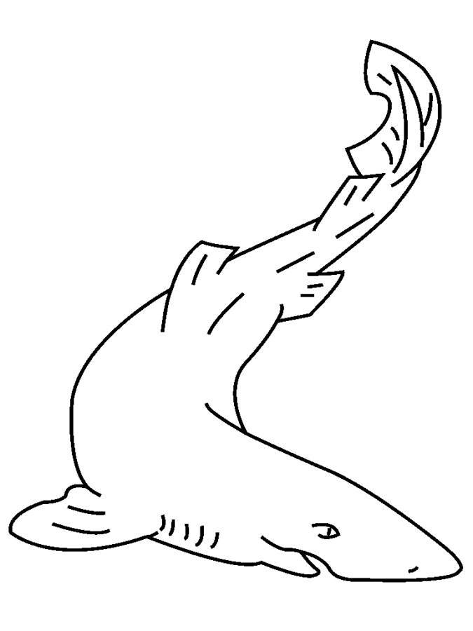 Desenho de Tubarão para imprimir