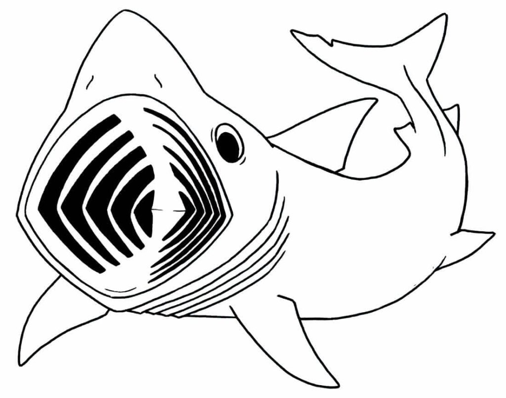 Desenho de Tubarão para imprimir