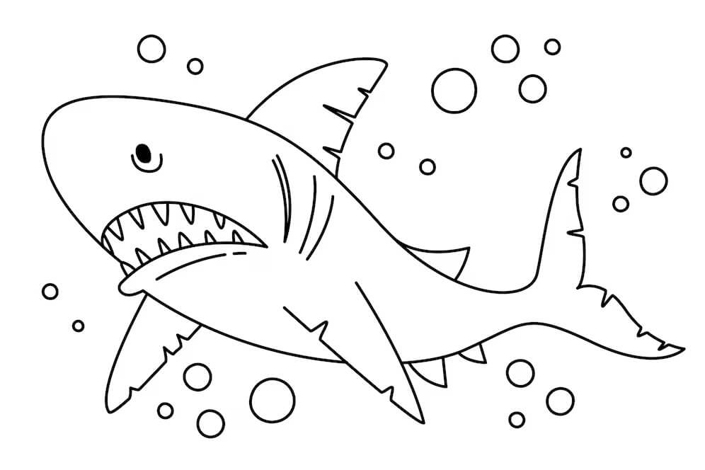 Desenho de Tubarão para imprimir