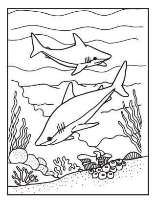 Desenho de Tubarão para imprimir
