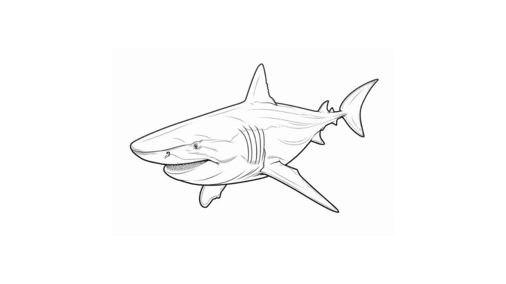 Desenho de Tubarão para imprimir