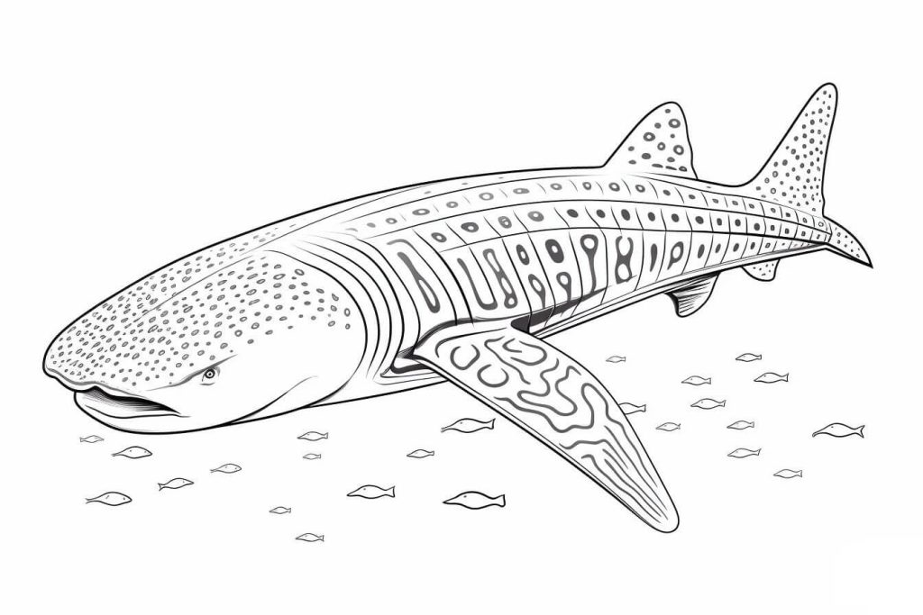 Desenho de Tubarão para imprimir