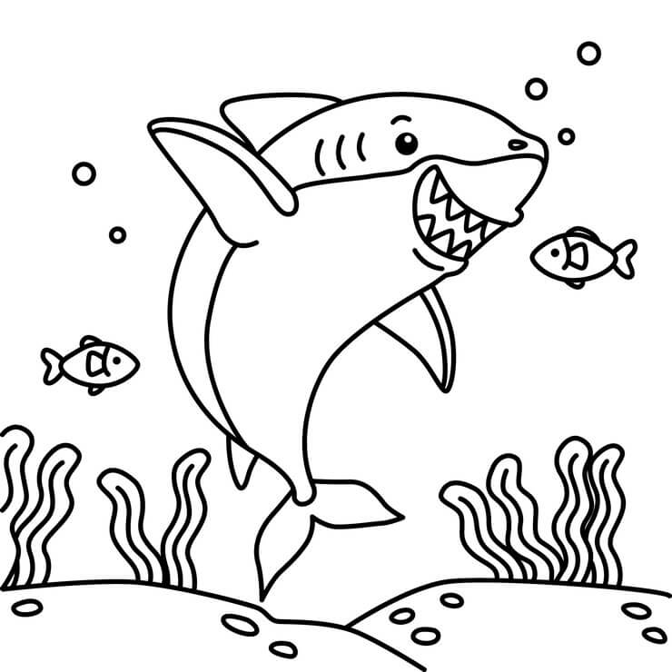 Desenho de Tubarão para imprimir