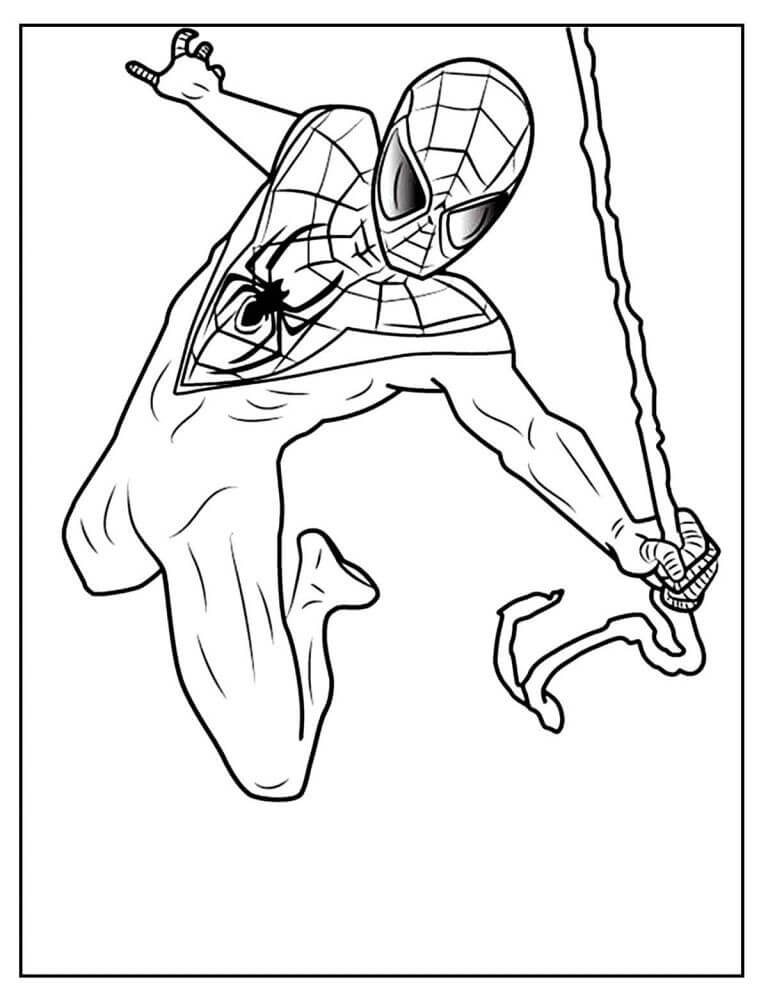 Desenho de Homem-Aranha (Spider-Man) para imprimir