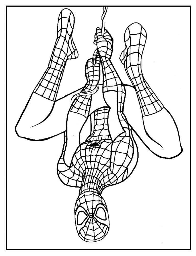 Desenho de Homem-Aranha (Spider-Man) para imprimir