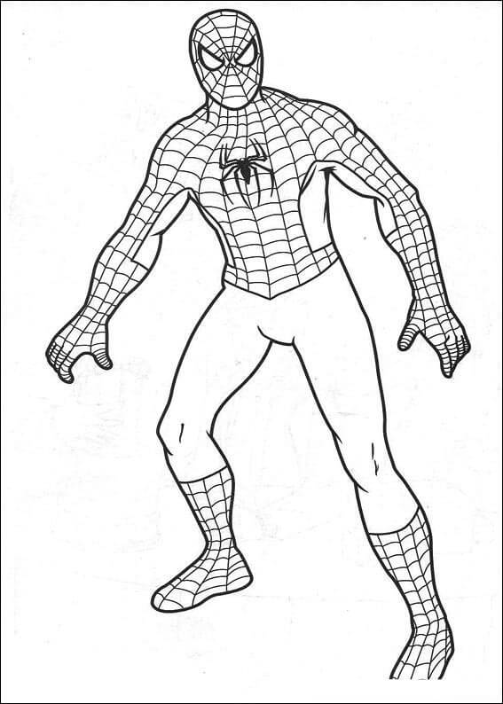 Desenho de Homem-Aranha (Spider-Man) para imprimir