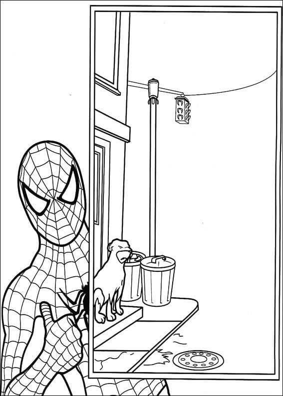 Desenho de Homem-Aranha (Spider-Man) para imprimir