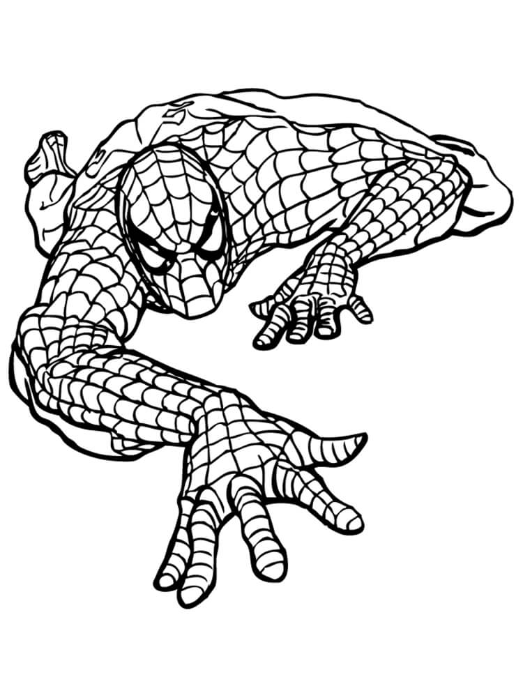 Desenho de Homem-Aranha (Spider-Man) para imprimir
