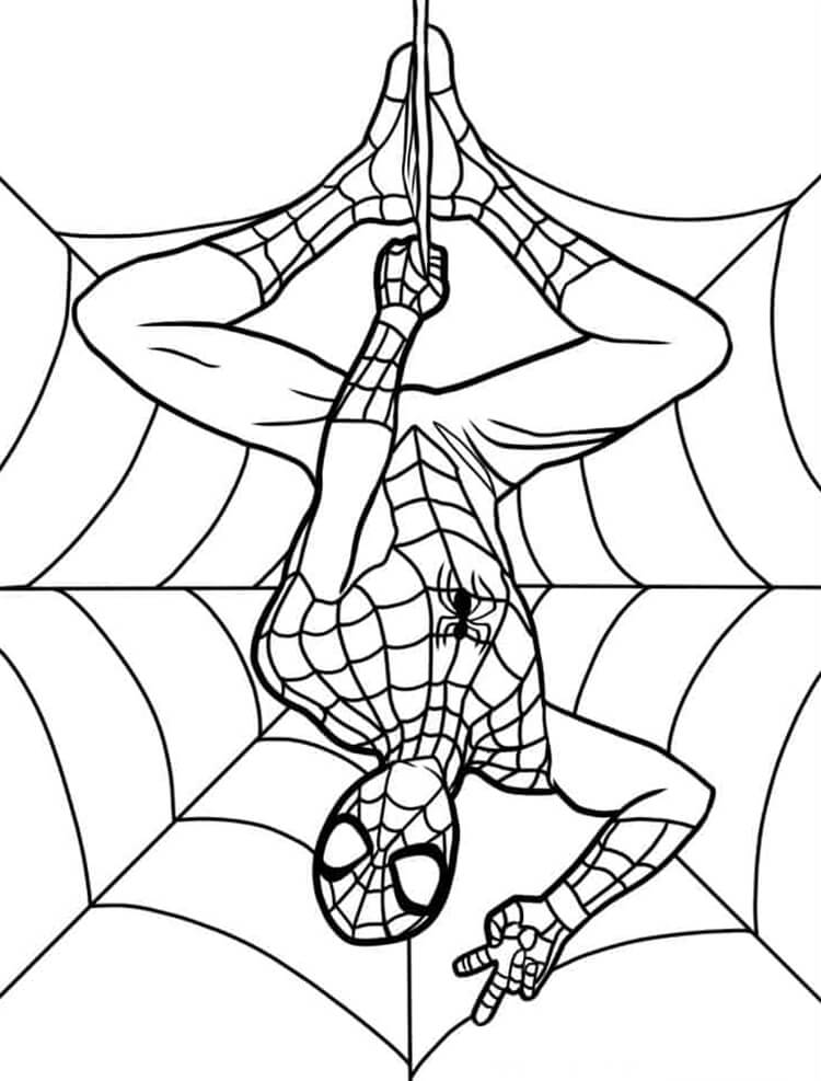 Desenho de Homem-Aranha (Spider-Man) para imprimir