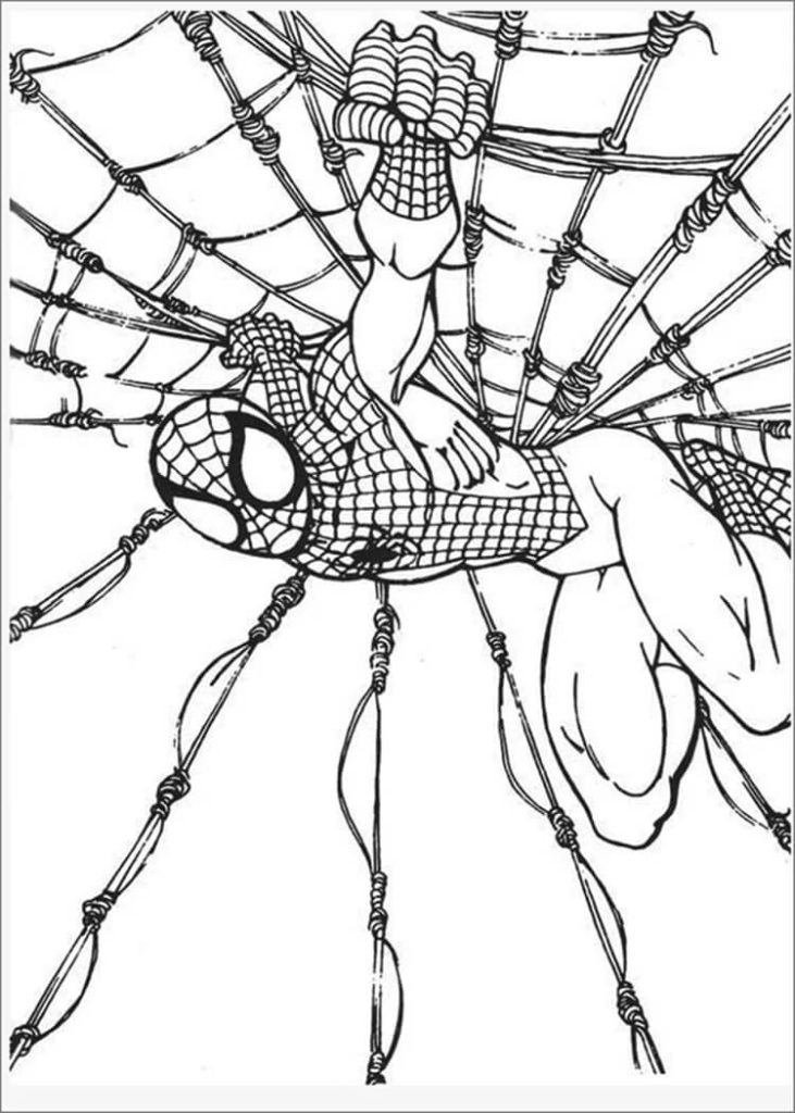 Desenho de Homem-Aranha (Spider-Man) para imprimir