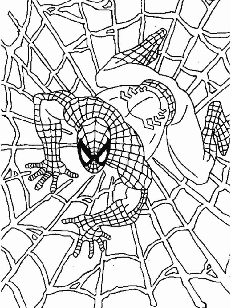Desenho de Homem-Aranha (Spider-Man) para imprimir