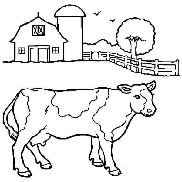 Desenho de Vacas para imprimir