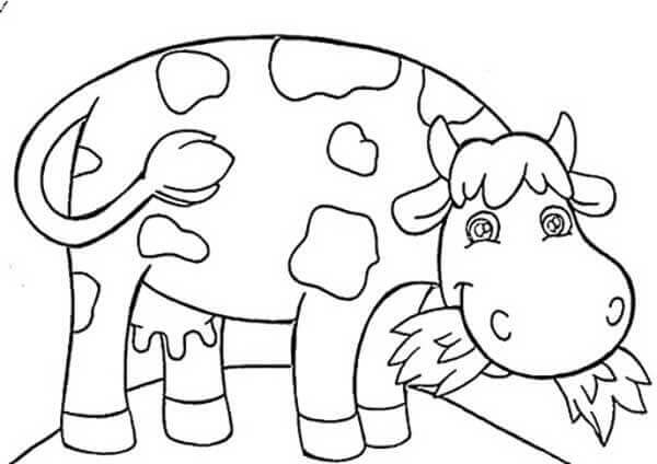 Desenho de Vacas para imprimir