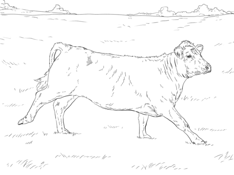 Desenho de Vacas para imprimir