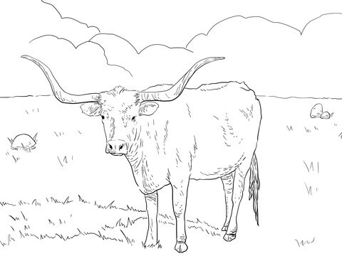 Desenho de Vacas para imprimir