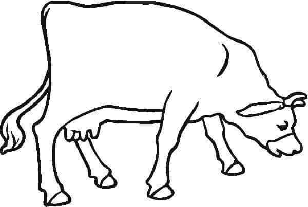 Desenho de Vacas para imprimir