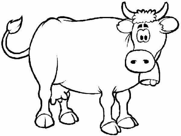 Desenho de Vacas para imprimir