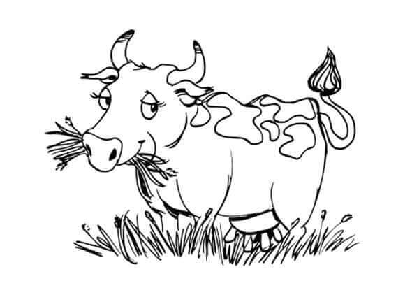 Desenho de Vacas para imprimir