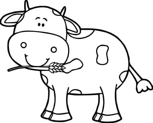 Desenho de Vacas para imprimir
