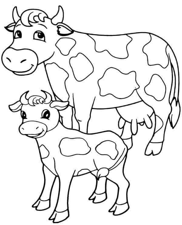 Desenho de Vacas para imprimir