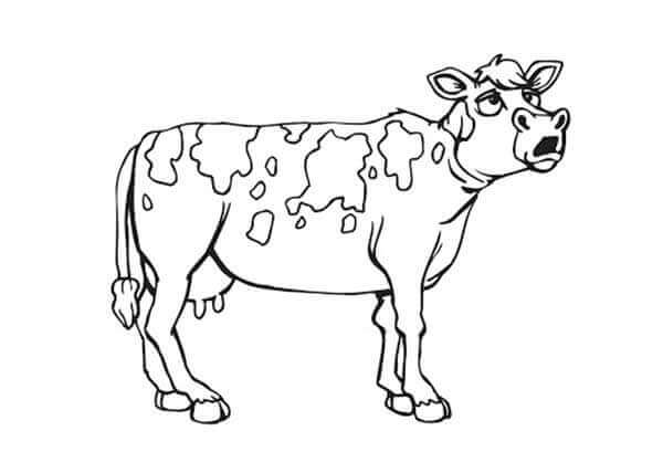 Desenho de Vacas para imprimir